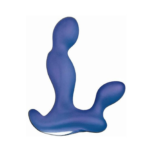 Anal-ese Collection P-spot Exciter | SexToy.com