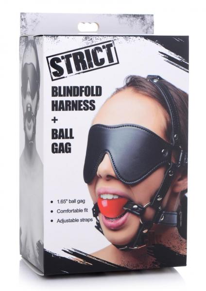 Blindfold Harness And Ball Gag | SexToy.com