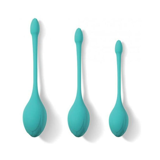 Bluebell Floral 3 Size & Weight Kegel Ball Exercise Set - Blue - SexToy.com