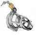 Detained Stainless Steel Chastity Cage | SexToy.com