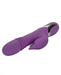 Enchanted Kisser Purple Rabbit Style Vibrator | SexToy.com