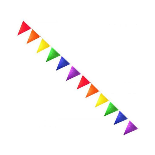 Gaysentials Rainbow Solid Pennants Decoration 12 feet - SexToy.com