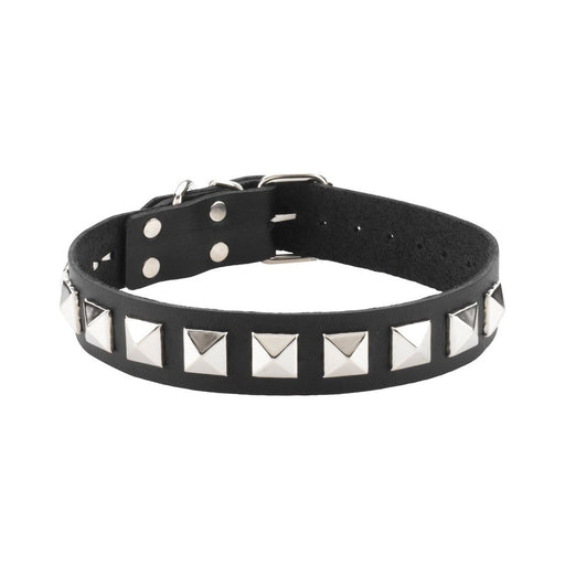 Leather Collar 1 Inch With Assorted Studs | SexToy.com
