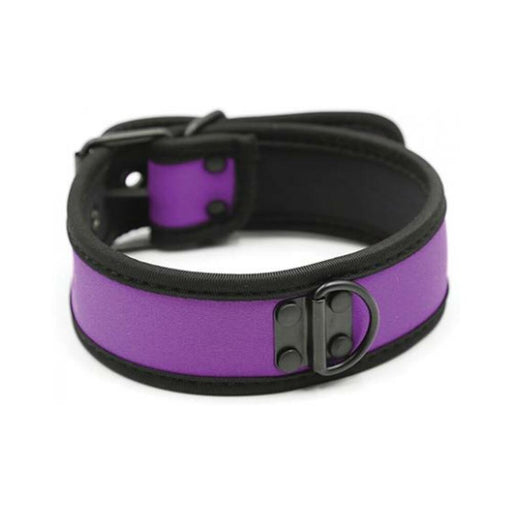 Plesur Neoprene Puppy Collar - Purple - SexToy.com