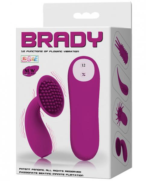 Pretty Love Brady 12 Functions Vibration Silicone Purple | SexToy.com