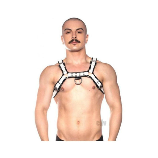 Prowler Red Bull Harness Blk/wht Xl - SexToy.com
