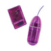 Remote Control Waterproof Bullet 3.25 Inch - Purple | SexToy.com