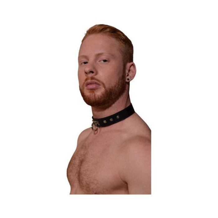 Rouge O-ring Studded Collar (thinner) Black | SexToy.com