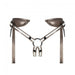 Strap-On-Me Leather Harness Desirous | SexToy.com