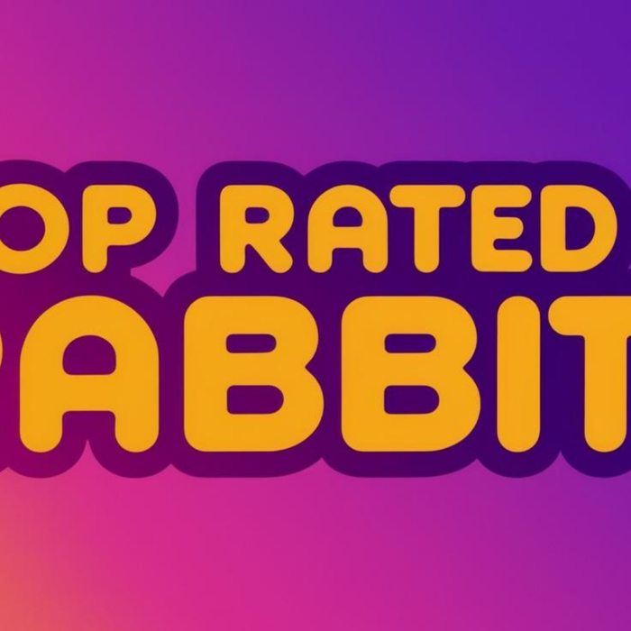 Top Rated Rabbit Vibrators for 2025