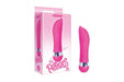 Pink compact mini vibrator with dolphin design and silver accent, shown next to its pink packaging box.