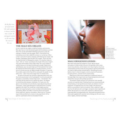 Open book spread showing illustrated and photographic pages explaining male sex organs and erogenous zones with detailed text and images.