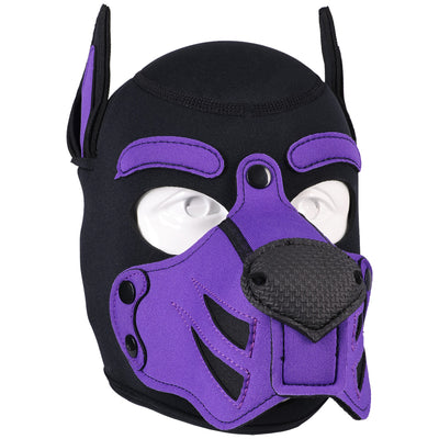 Merci Puppy Hood Neoprene Violet/Black