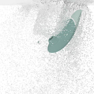 Womanizer Next Clit Vibrator