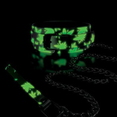 Glow-in-the-dark black collar and leash set with vibrant green cannabis leaf pattern and black metal hardware.