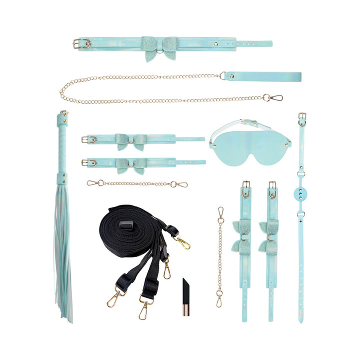 Light blue bondage kit with collar, leash, cuffs, blindfold, ball gag, flogger, restraints, and accessories arranged on white background.