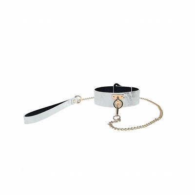 Silver textured collar with gold chain leash and key charm on white background