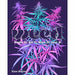 Colorful illustrated cannabis plants with bold text reading weed smoke it eat it grow it love it on a dark background