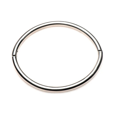 XR Brands Master Series Possession Stainless Steel Locking Collar