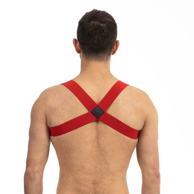 Back view of a man wearing a red Prowler sports harness with crossed straps and a black paw print detail.