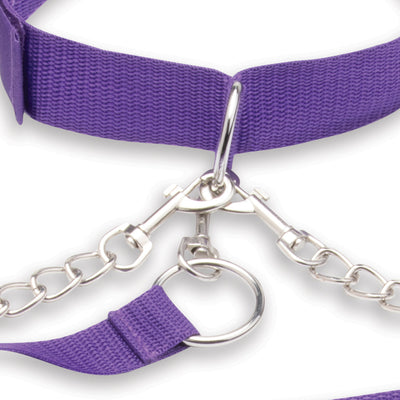 Lux Fetish Collar Cuffs & Leash Set - Purple