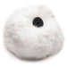 Soft white interchangeable bunny tail with black SnapOn base for anal plug attachment.
