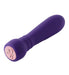 Purple silicone Booster Bullet massager with pink control buttons and ergonomic design.
