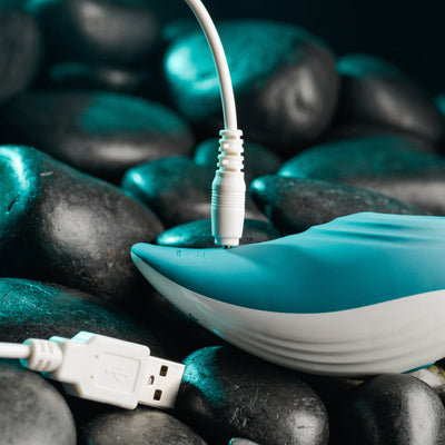 Blue and white Evolved Palm Pleasure vibrator with USB charging cable on black stones background.
