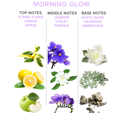 Illustration of Morning Glow perfume scent notes featuring ylang-ylang, lemon, apple, jasmine, violet, freesia, white musk, oakmoss, and ambergris.