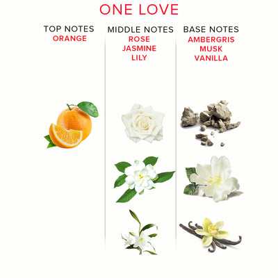 Orange fruit for top notes, white rose, jasmine, lily for middle notes, and ambergris, musk, vanilla for base notes of One Love perfume.