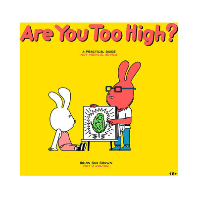 Bright yellow cover of Are You Too High? practical guide featuring two cartoon rabbits, one teaching about cannabis to the other.