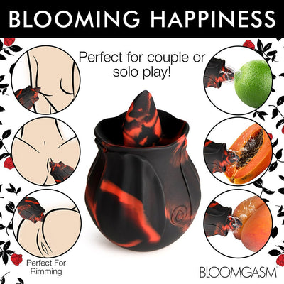 Bloomgasm Black Kiss Rimming Rose with red and black swirls, shown with illustrations of use on erogenous zones and fruits.