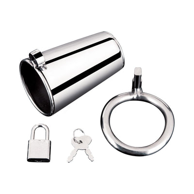 Silver stainless steel cock cage set with cylinder, testicle ring, padlock, and two keys on white background.