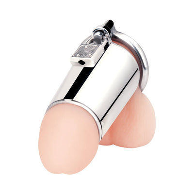 Silver stainless steel chastity cage with padlock, shown secured on a realistic silicone model.