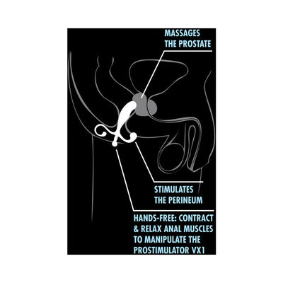 Diagram showing the Blush Performance Prostimulator VX1 targeting the prostate and perineum with hands-free muscle control.