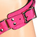 Close-up of a vibrant pink leather strap with silver metal buckle and rivets on a corset harness.
