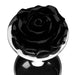 Close-up of a small black rose-shaped metal anal plug with a shiny silver base on a white background.