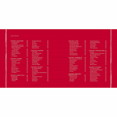 Table of contents page from Classic Sex Positions Reinvented book listing chapters and various position names on a red background.