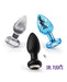 Dr. Tush's Venture Collection Anal Plug Set Small - Glass, Metal, Silicone
