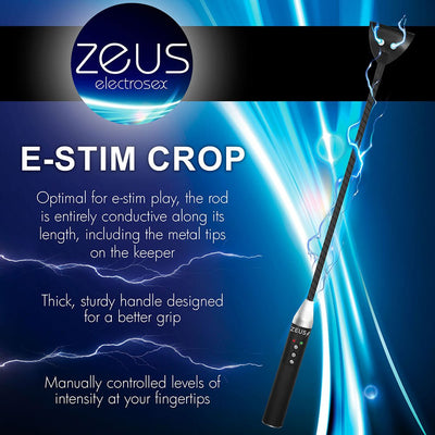 Zeus Electrosex E-stim Crop with conductive rod, sturdy grip handle, and adjustable intensity controls on a blue electric background.
