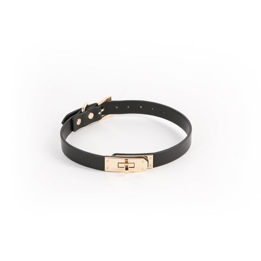 Black Sadie collar with gold-tone buckle and adjustable strap on white background