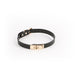 Black Sadie collar with gold-tone buckle and adjustable strap on white background