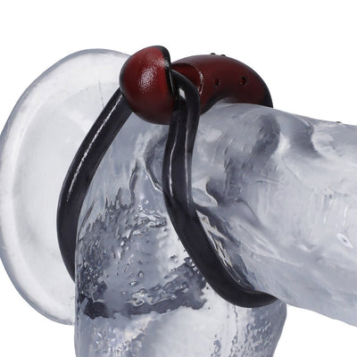 Firmtech Performing C-ring in black and brown shown on a clear anatomical model, highlighting its adjustable latch design.