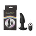 Black silicone Gender Fluid Twirler anal vibrator with wireless remote and packaging featuring rainbow design.