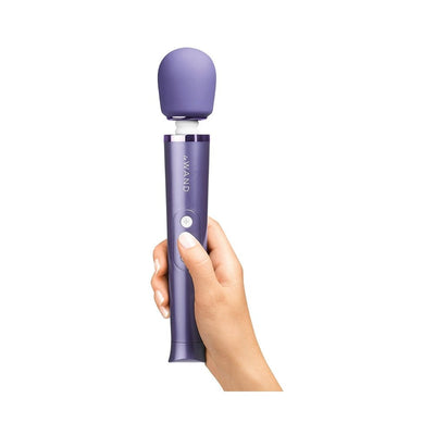 Hand holding a sleek violet Le Wand Petite rechargeable massager with a rounded head and control buttons.