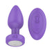 Purple silicone vibrating plug with matching oval remote control on white background.