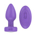Purple silicone vibrating plug with matching oval remote control featuring power and vibration buttons.