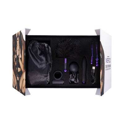 Black satin storage bag, feather tickler, silicone vibrator, ball gag, satin blindfold, nipple clamps, silicone cock ring, and USB charger in gift box.