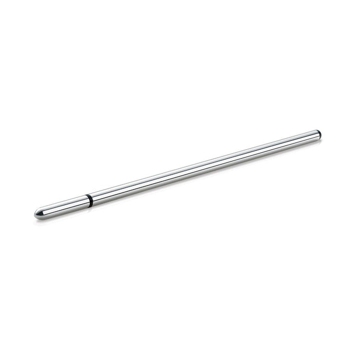 Sleek polished metal urethral sound with rounded tip and black ring detail on white background.