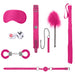 Pink introductory bondage kit with collar, leash, furry handcuffs, ball gag, feather tickler, satin mask, flogger, and sex dice.